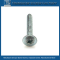 Black Phosphated Pan Framing Head Self Tapping Screws